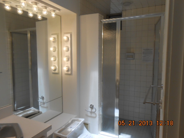 1512 Daly Road Wheaton, IL 60187 - Photo 7 of 20 a bathroom with a shower and a toilet