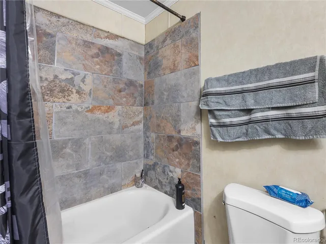 a bathroom with a toilet and a bathtub