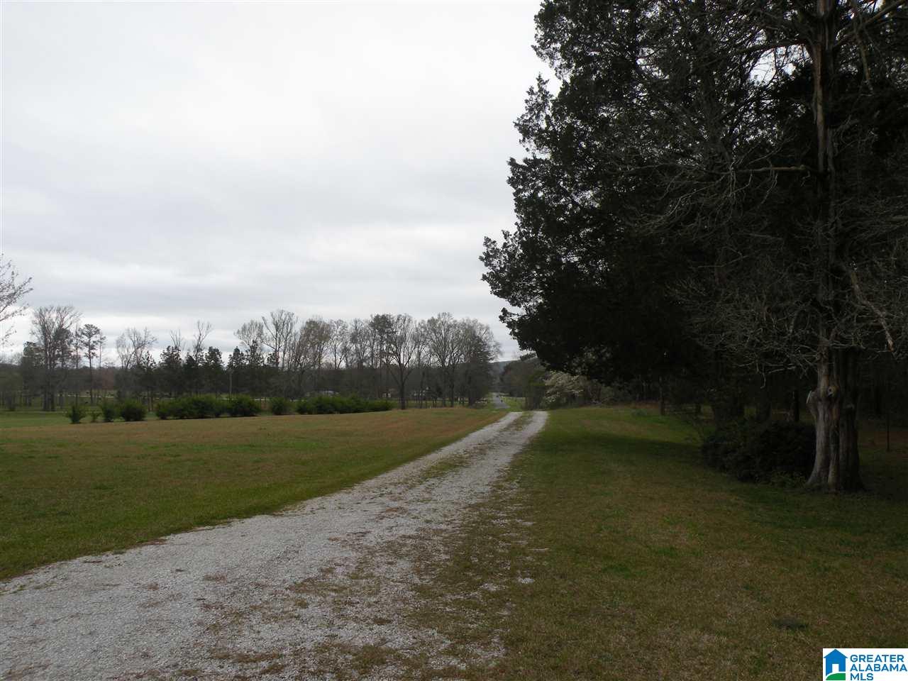 734 Branch Road Alpine, AL 35014 - Photo 3 of 33
