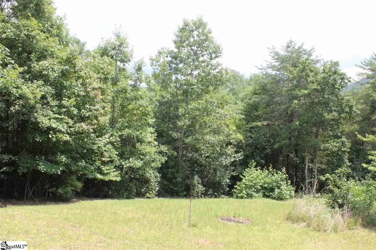 116 Brendart Hill Road Sunset, SC 29685 - Photo 16 of 36 Gallery Image 16