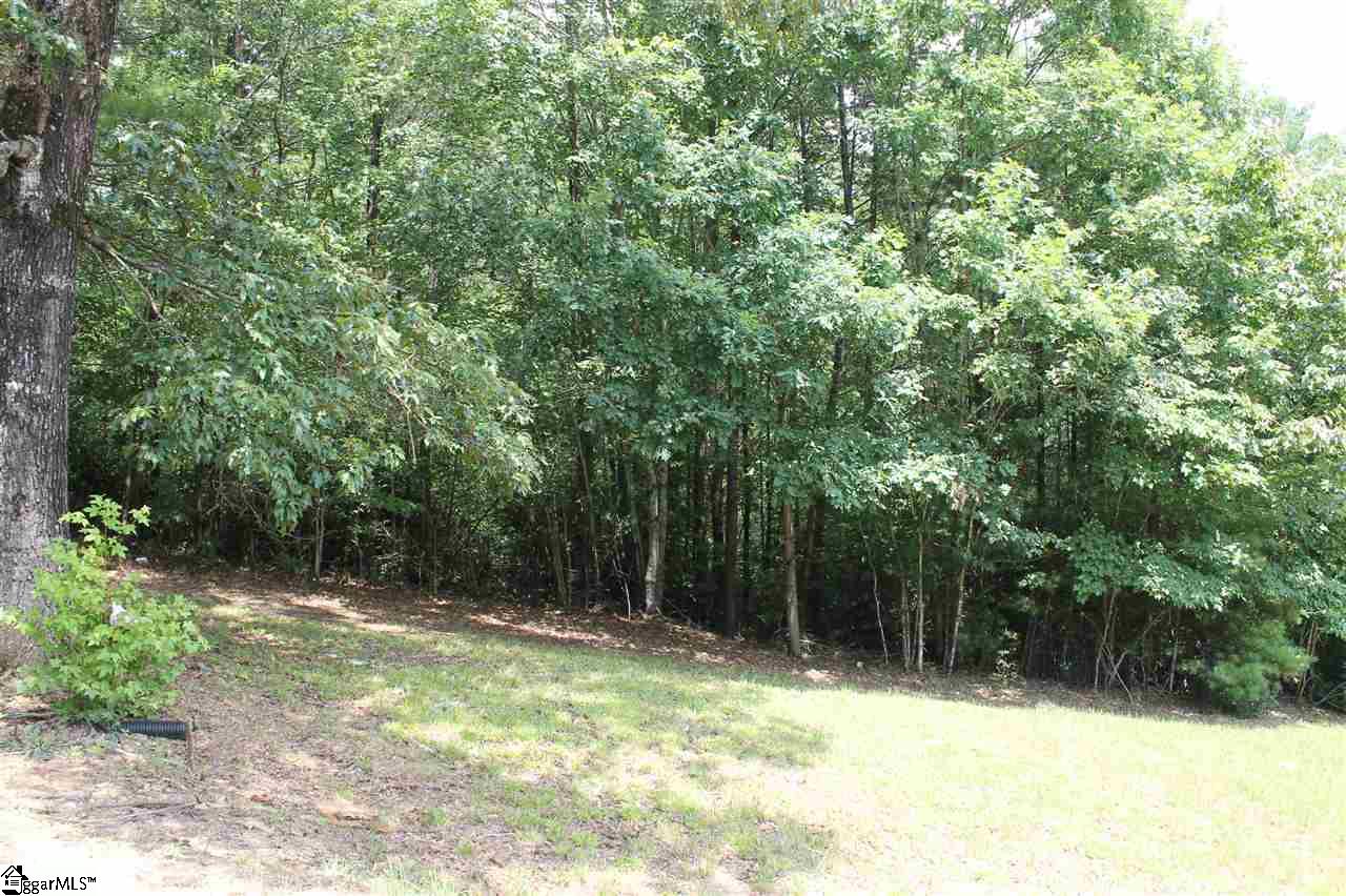 116 Brendart Hill Road Sunset, SC 29685 - Photo 17 of 36 Gallery Image 17
