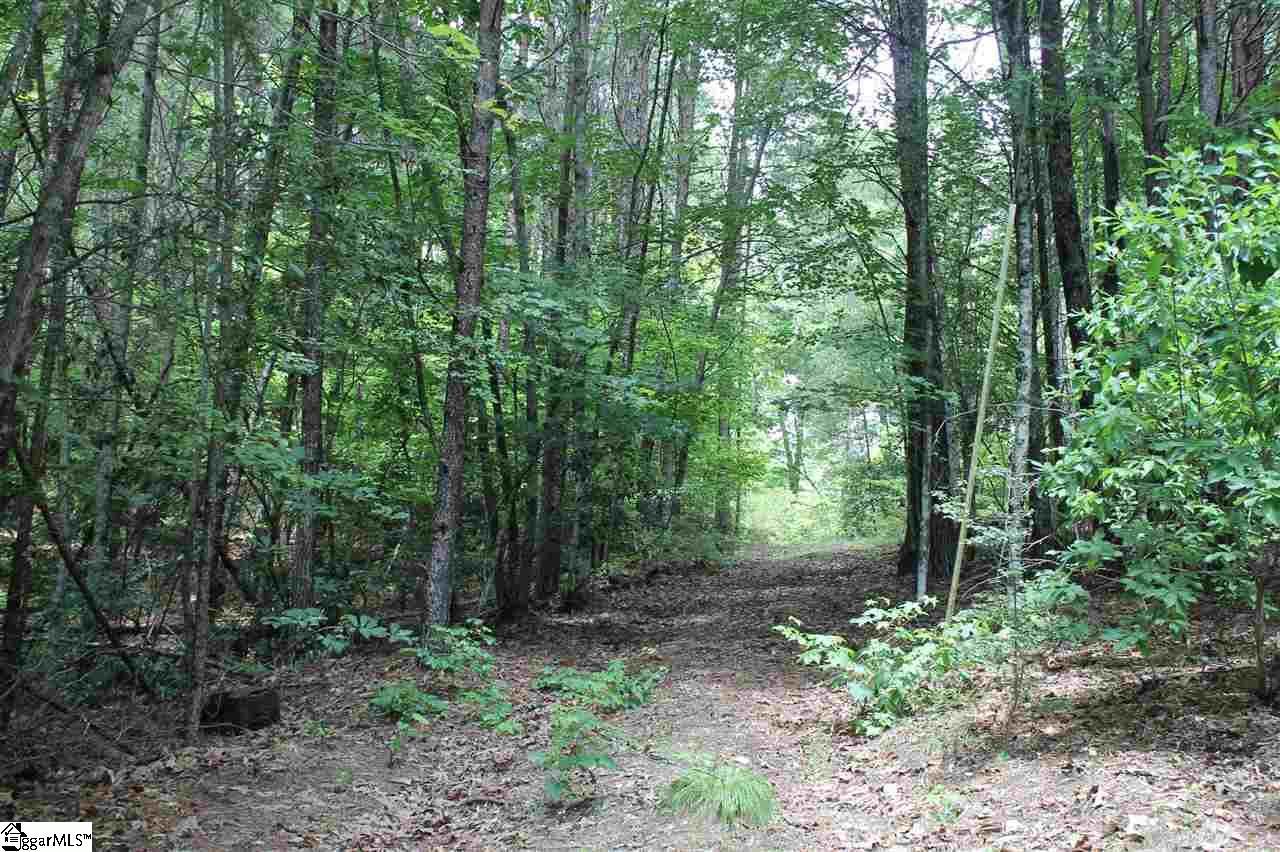 116 Brendart Hill Road Sunset, SC 29685 - Photo 19 of 36 Gallery Image 19