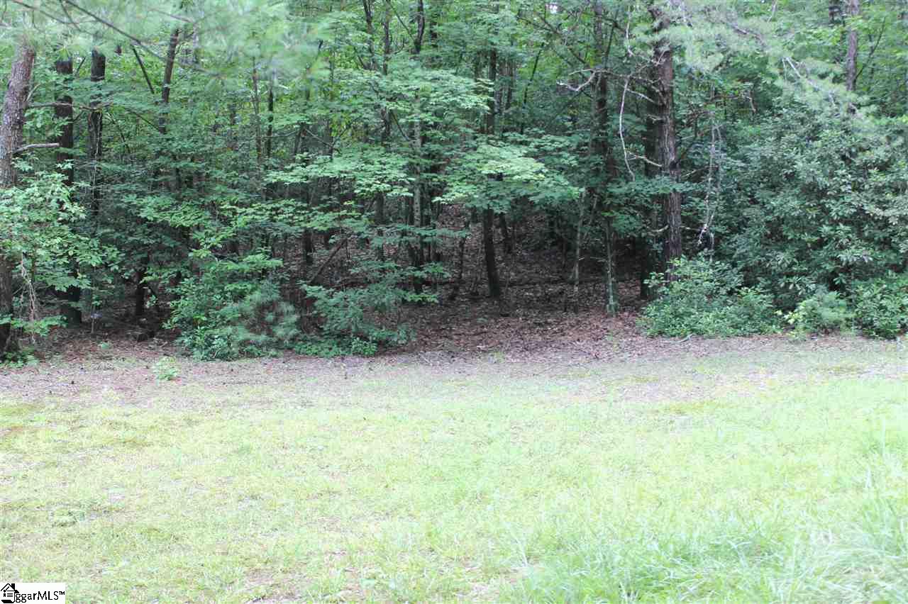 116 Brendart Hill Road Sunset, SC 29685 - Photo 20 of 36 Gallery Image 20