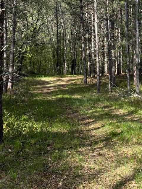 3 County Road 3 Merrifield, MN 56465 - Photo 21 of 36