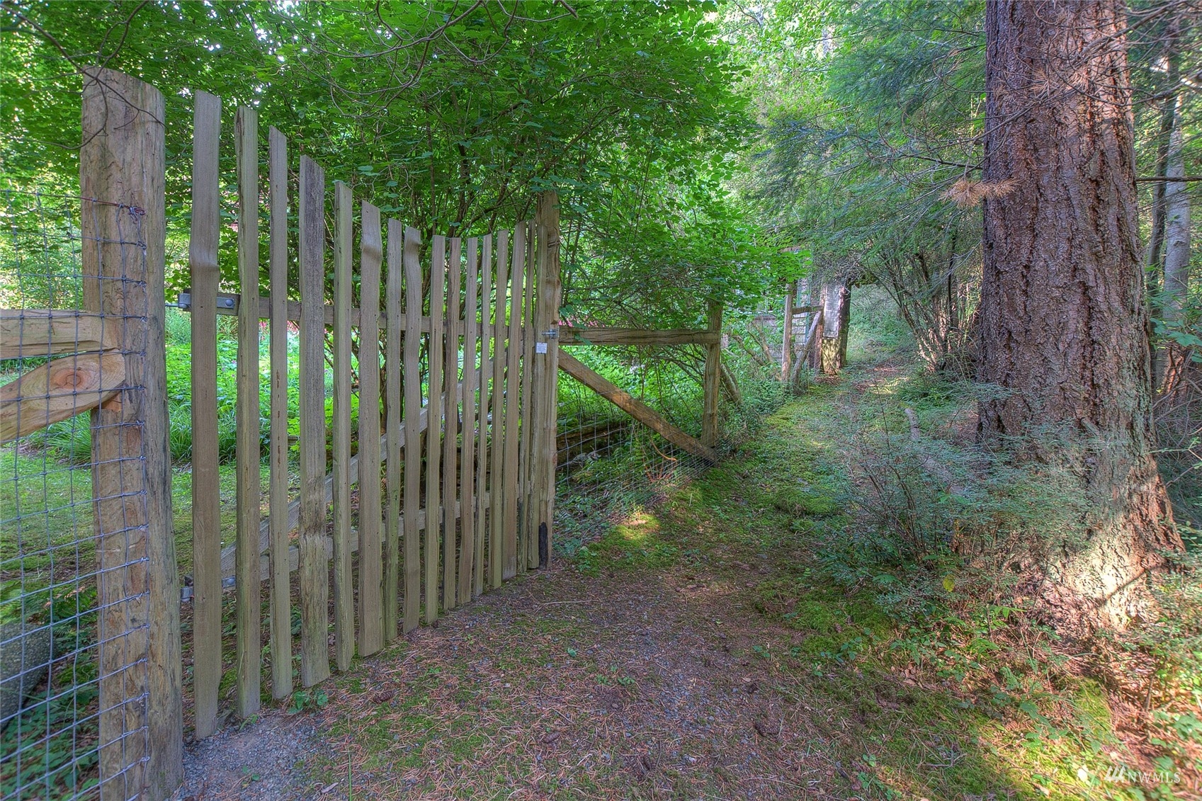 4781 Point Lawrence Road Orcas Island, WA 98279 - Photo 18 of 35 Gallery Image 18