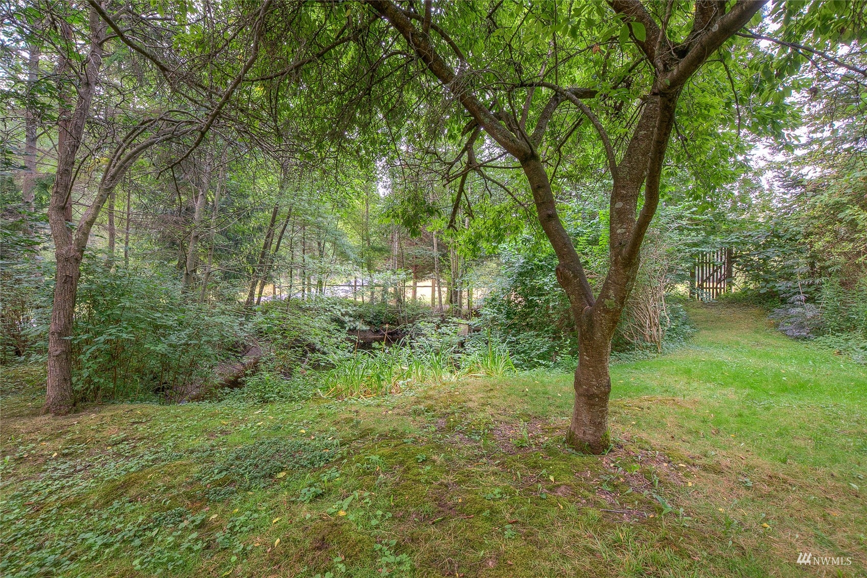 4781 Point Lawrence Road Orcas Island, WA 98279 - Photo 21 of 35 Gallery Image 21