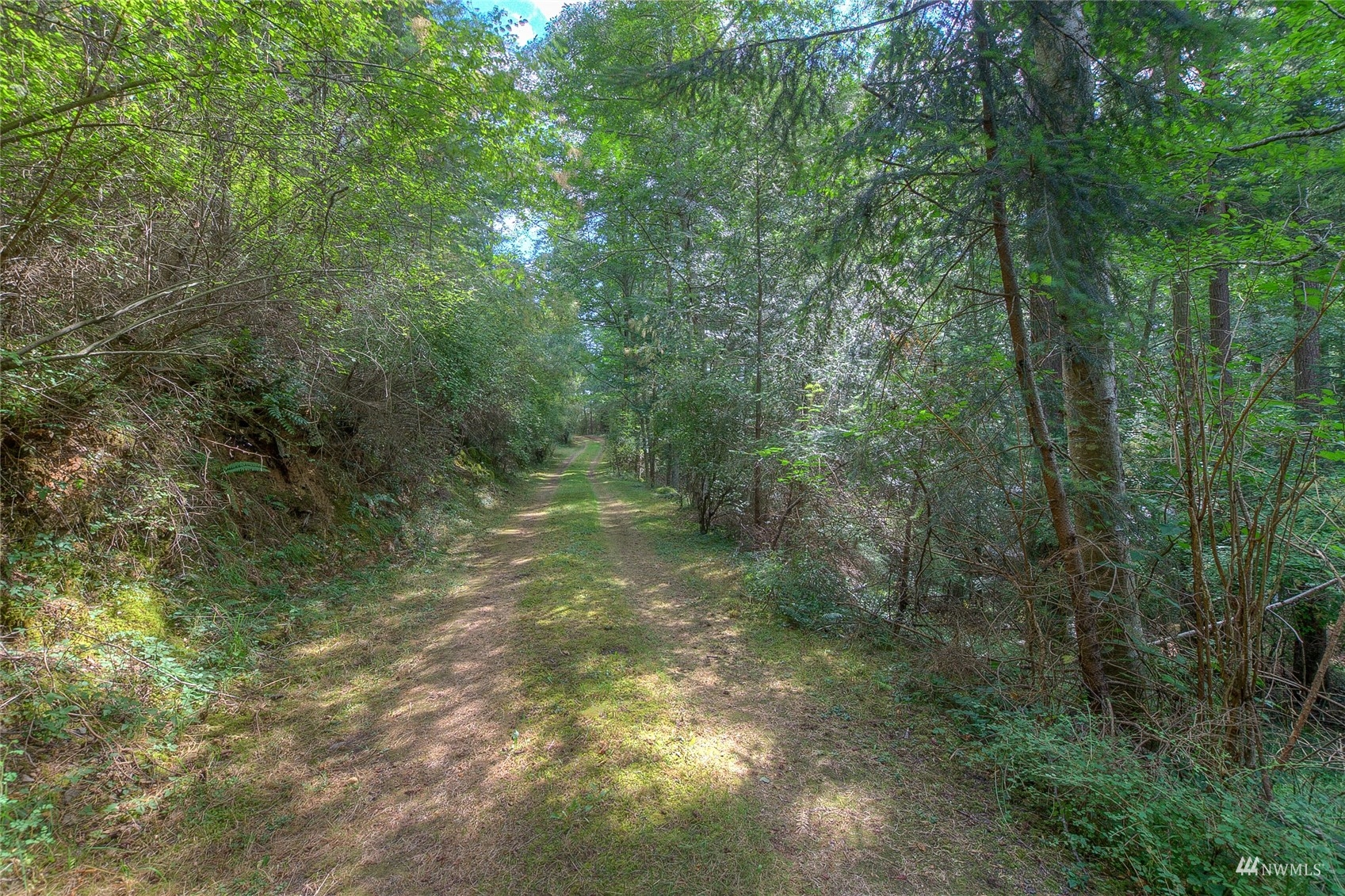 4781 Point Lawrence Road Orcas Island, WA 98279 - Photo 25 of 35 Gallery Image 25