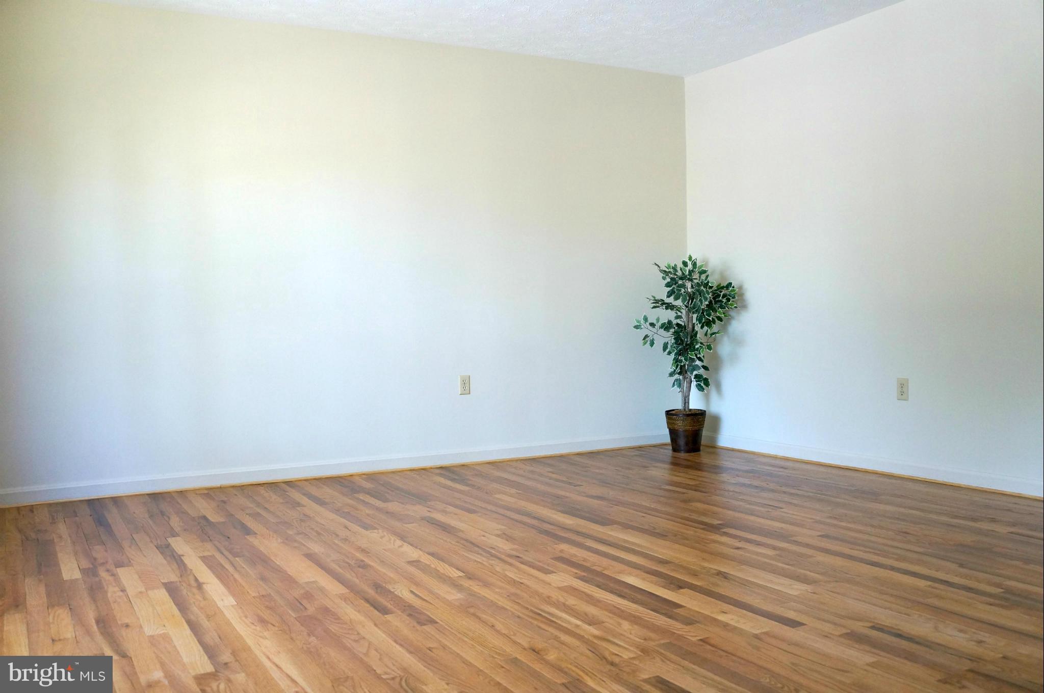 104 Brunswick Road Stephens City, VA 22655 - Photo 11 of 16 Living Room