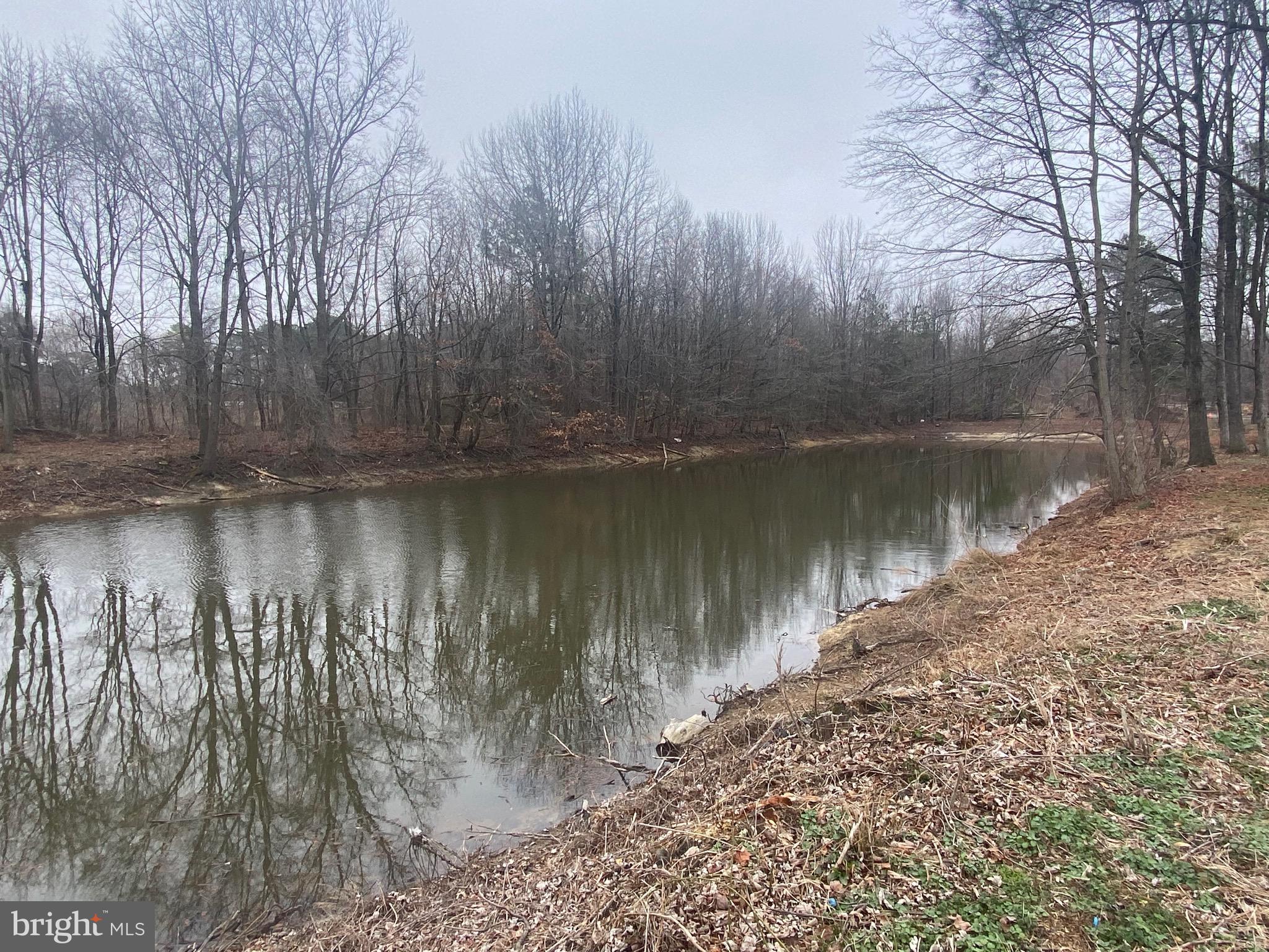 9415 Cherry Tree Lane Seaford, DE 19973 - Photo 13 of 43 a view of a lake with a tree in the background