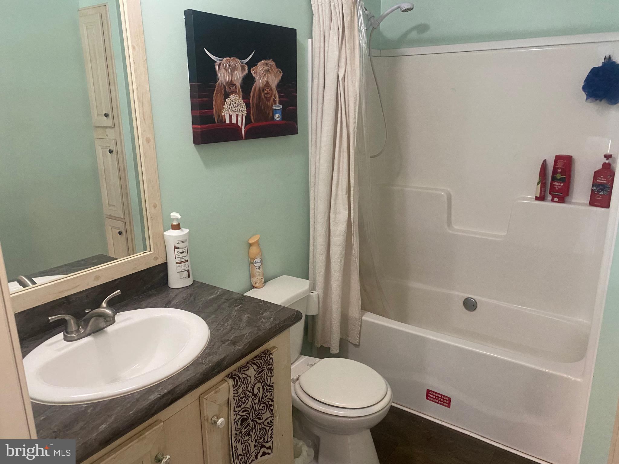 9415 Cherry Tree Lane Seaford, DE 19973 - Photo 26 of 43 a bathroom with a sink and a mirror