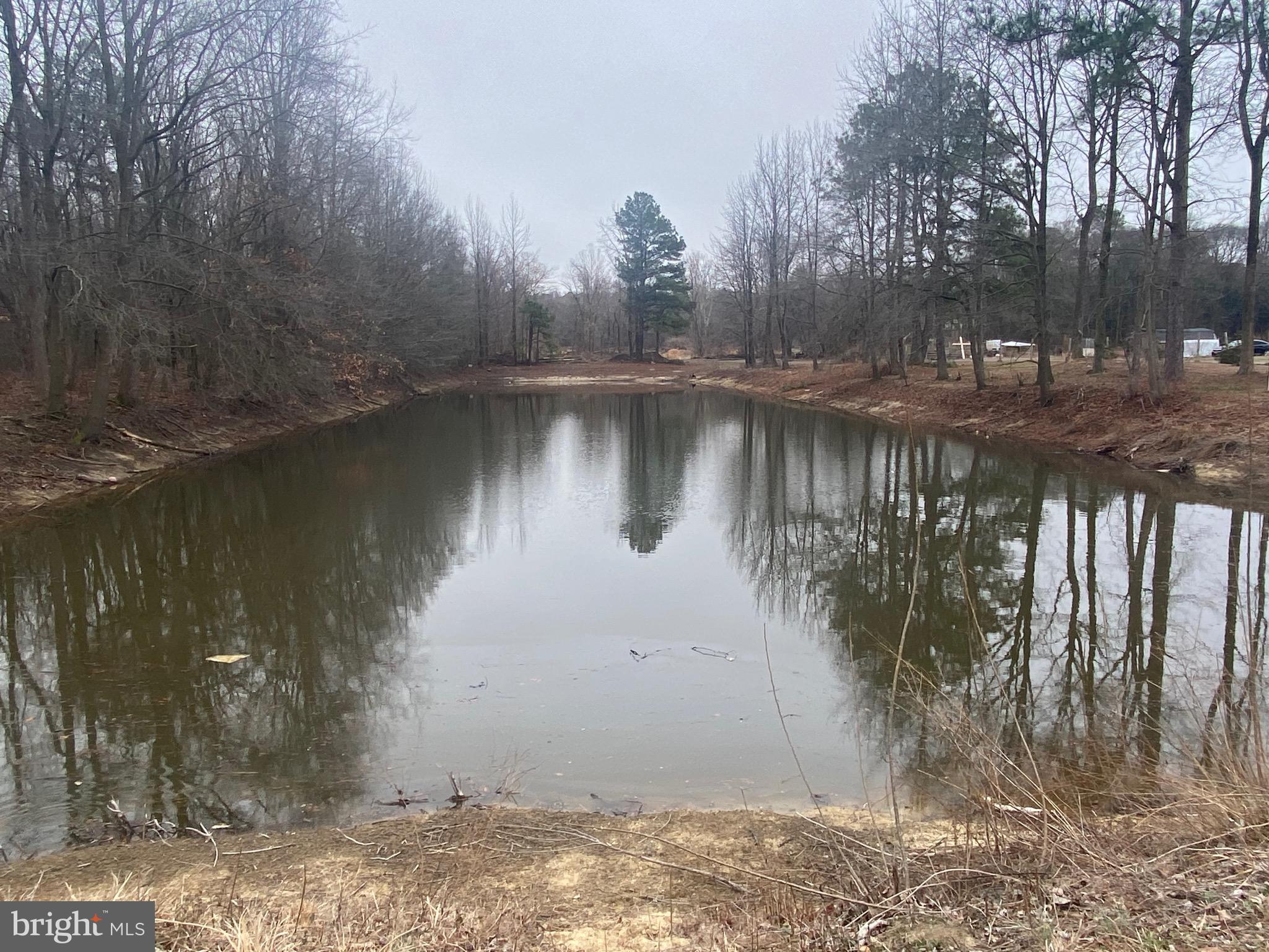 9415 Cherry Tree Lane Seaford, DE 19973 - Photo 4 of 43 a view of a lake in between two trees