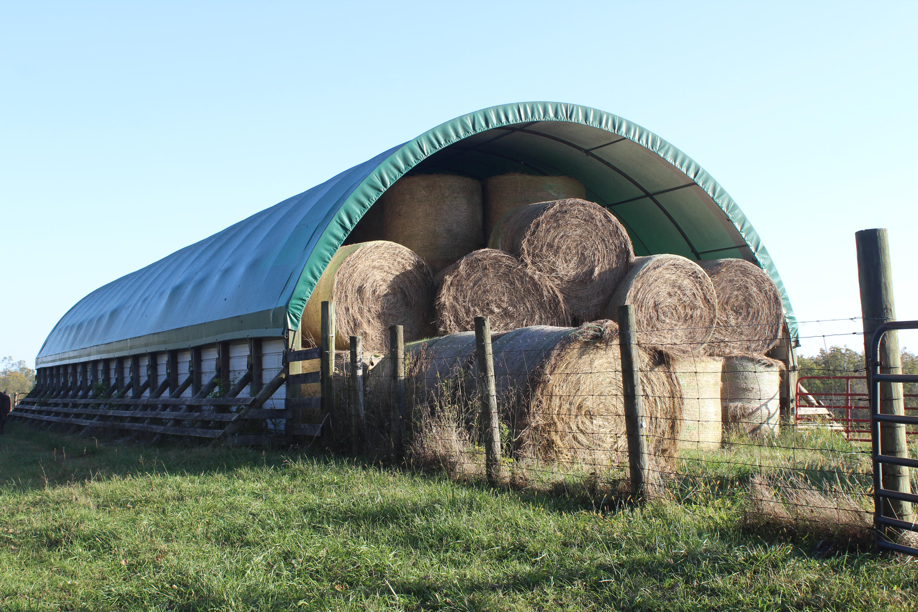 4031 Cynthiana Road Paris, KY 40361 - Photo 28 of 37 IMG_6661