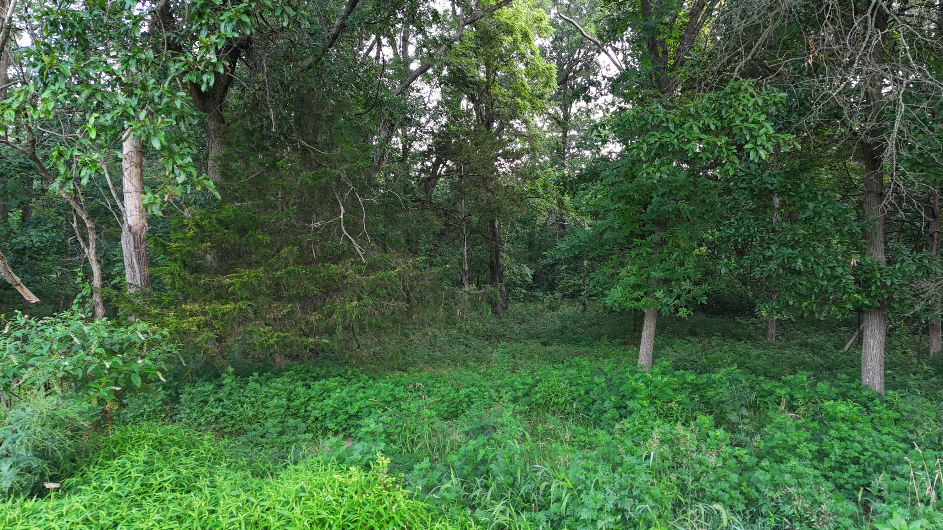 438 County Road Rocheport, MO 65279 - Photo 16 of 26