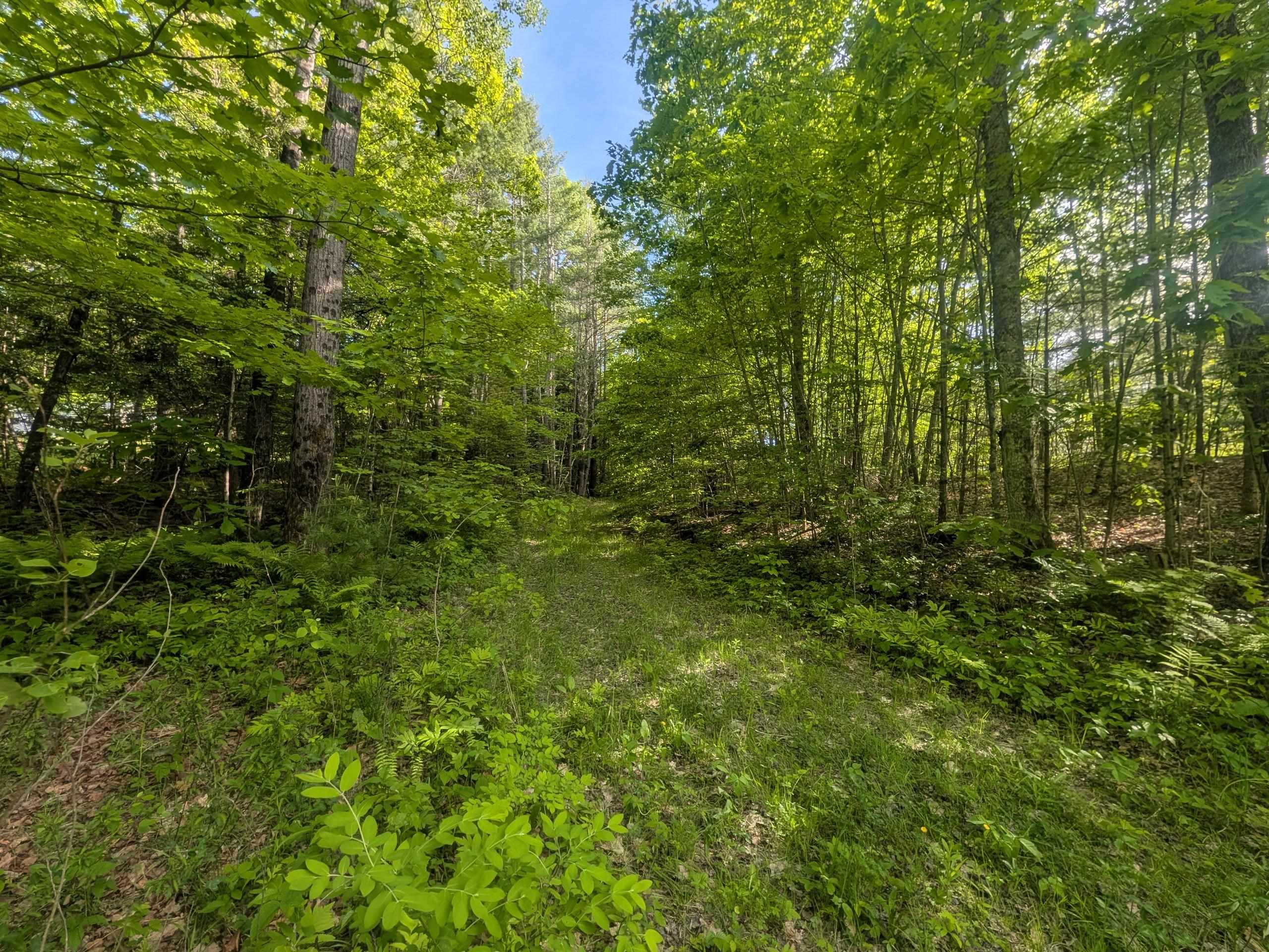198 Quechee Road Hartland, VT 05048 - Photo 3 of 13