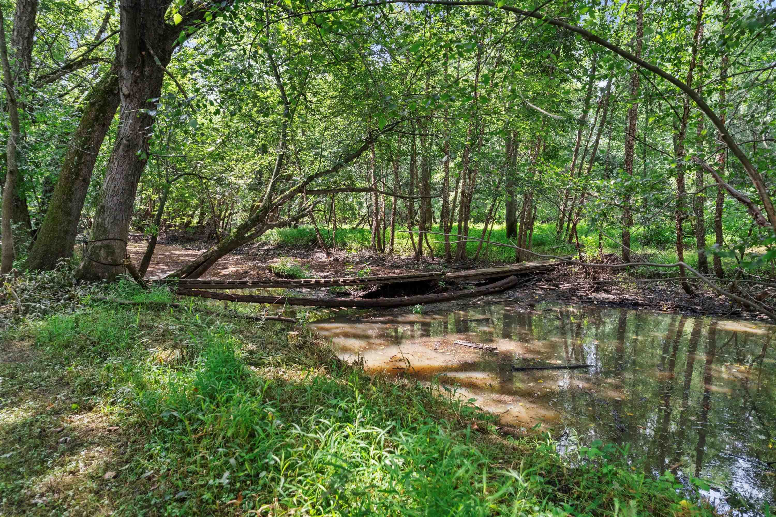 W12105 Jenicek Road Portage, WI 53901 - Photo 6 of 40