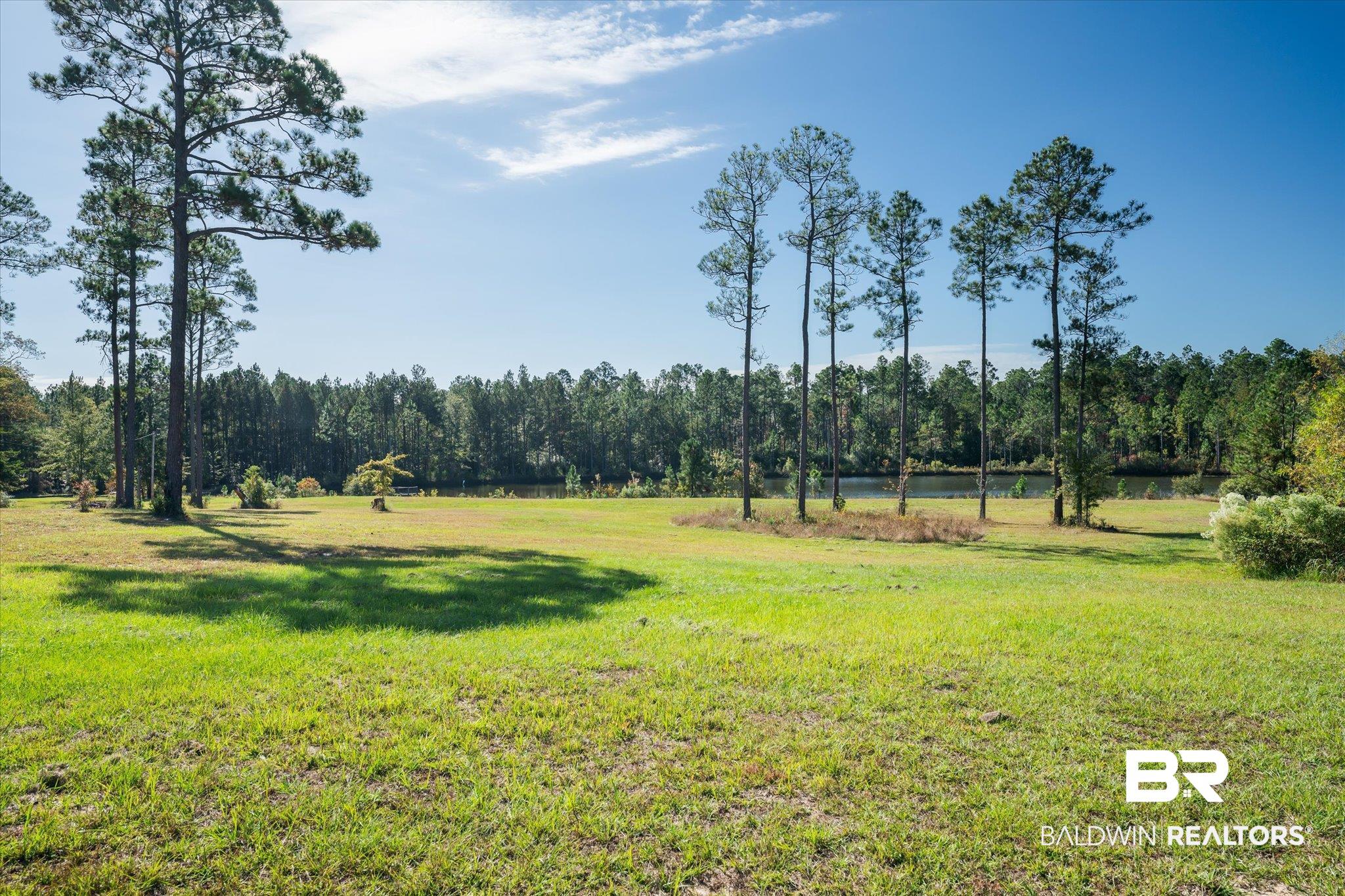 890 Jelks Road Wagarville, AL 36585 - Photo 37 of 50
