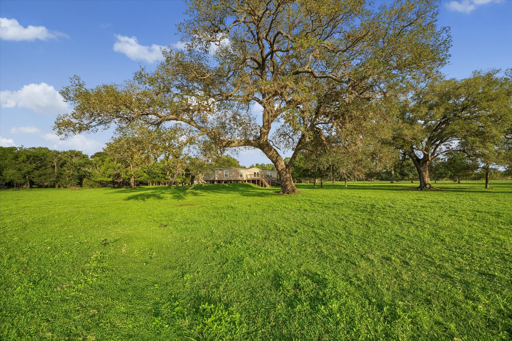 3515 County Road 36 Angleton, TX 77515 - Photo 47 of 50 a view of yard with green space