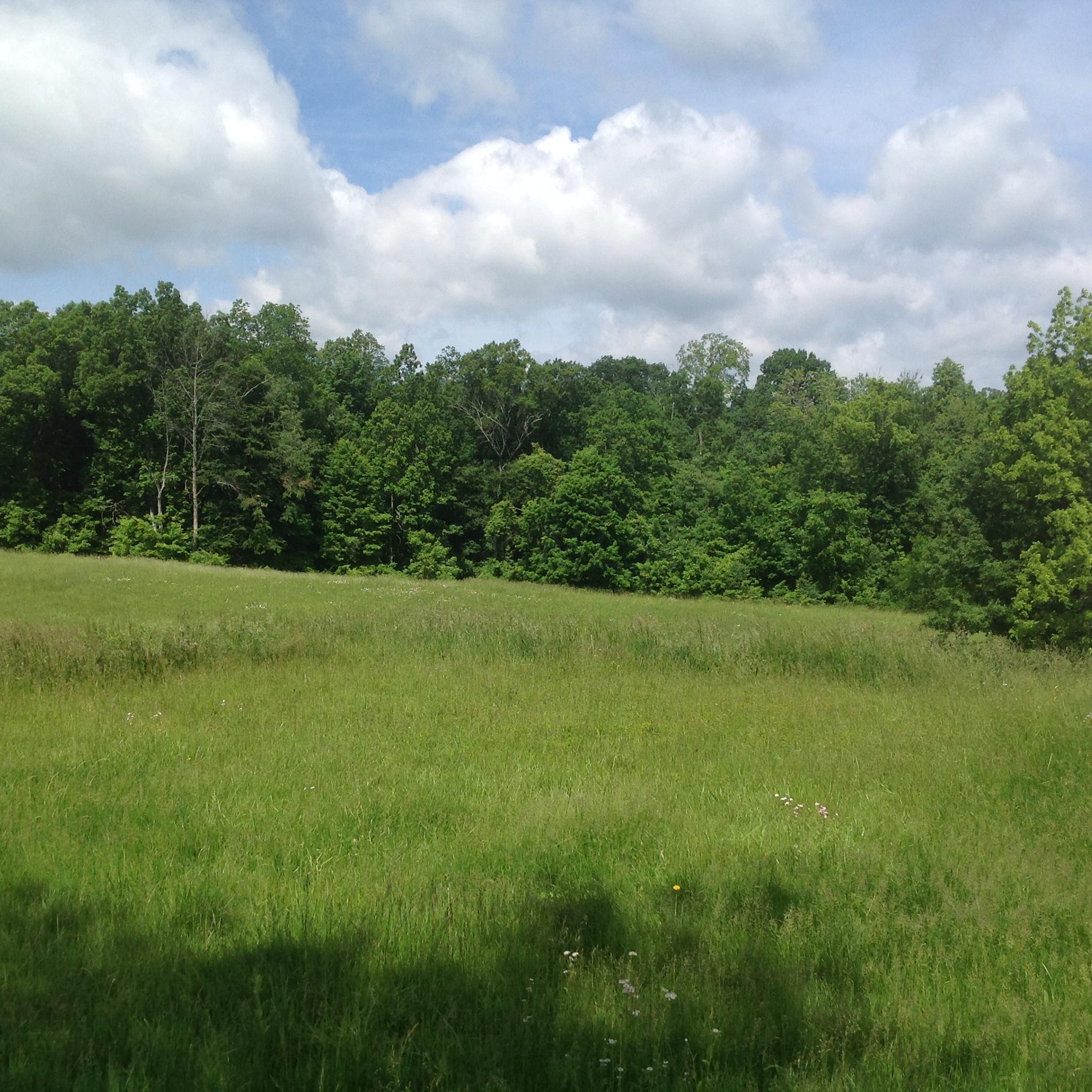 0 Marietta Road Southwest Junction City, OH 43748 - Photo 11 of 12