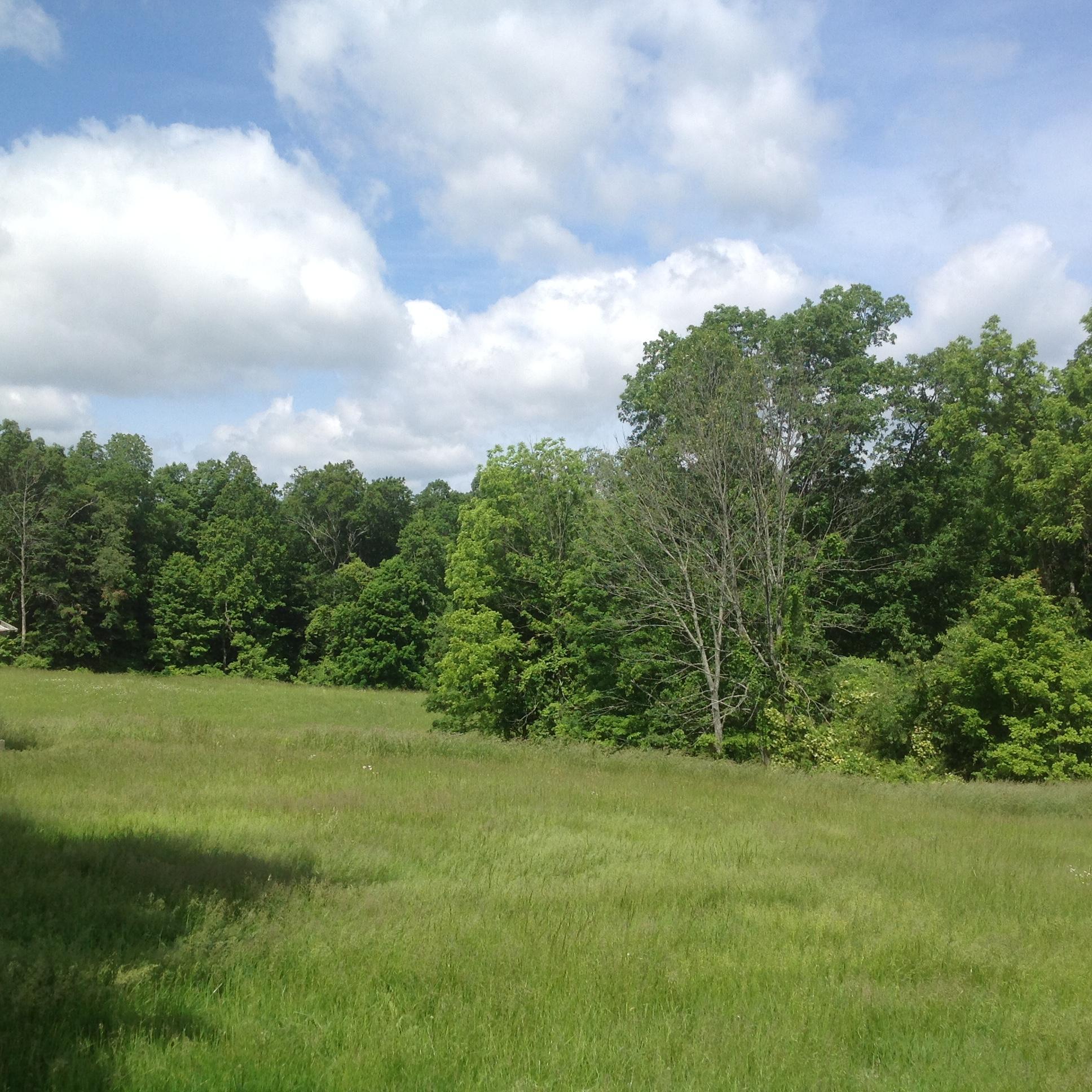 0 Marietta Road Southwest Junction City, OH 43748 - Photo 10 of 12