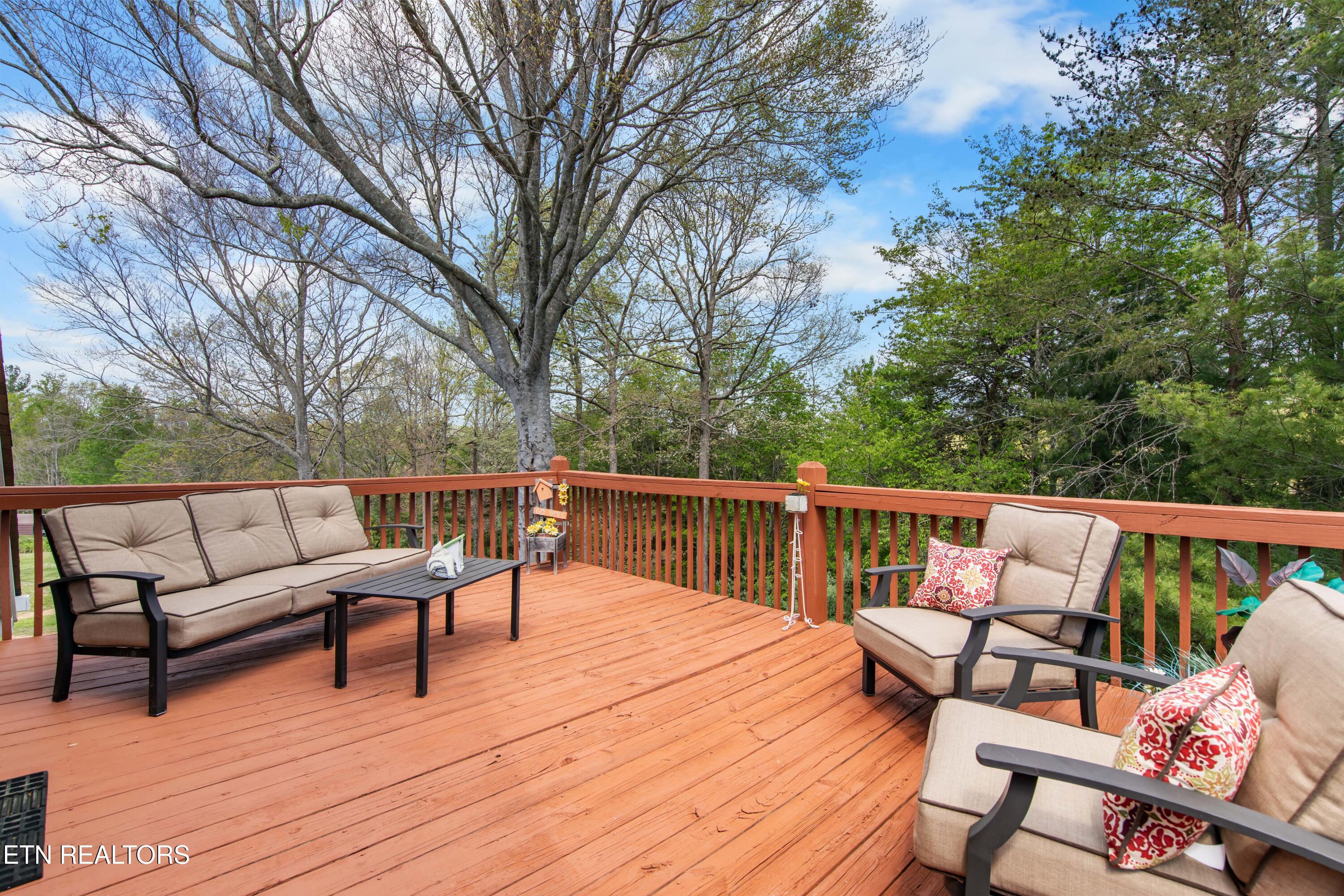 300 Lowe Road Huntsville, TN 37756 - Photo 39 of 60 030A1517