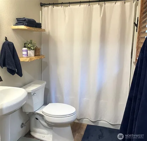 a white toilet sitting next to a shower curtain