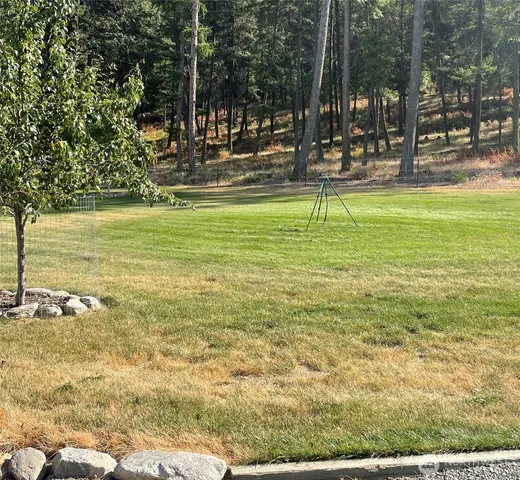 a view of a park with large trees