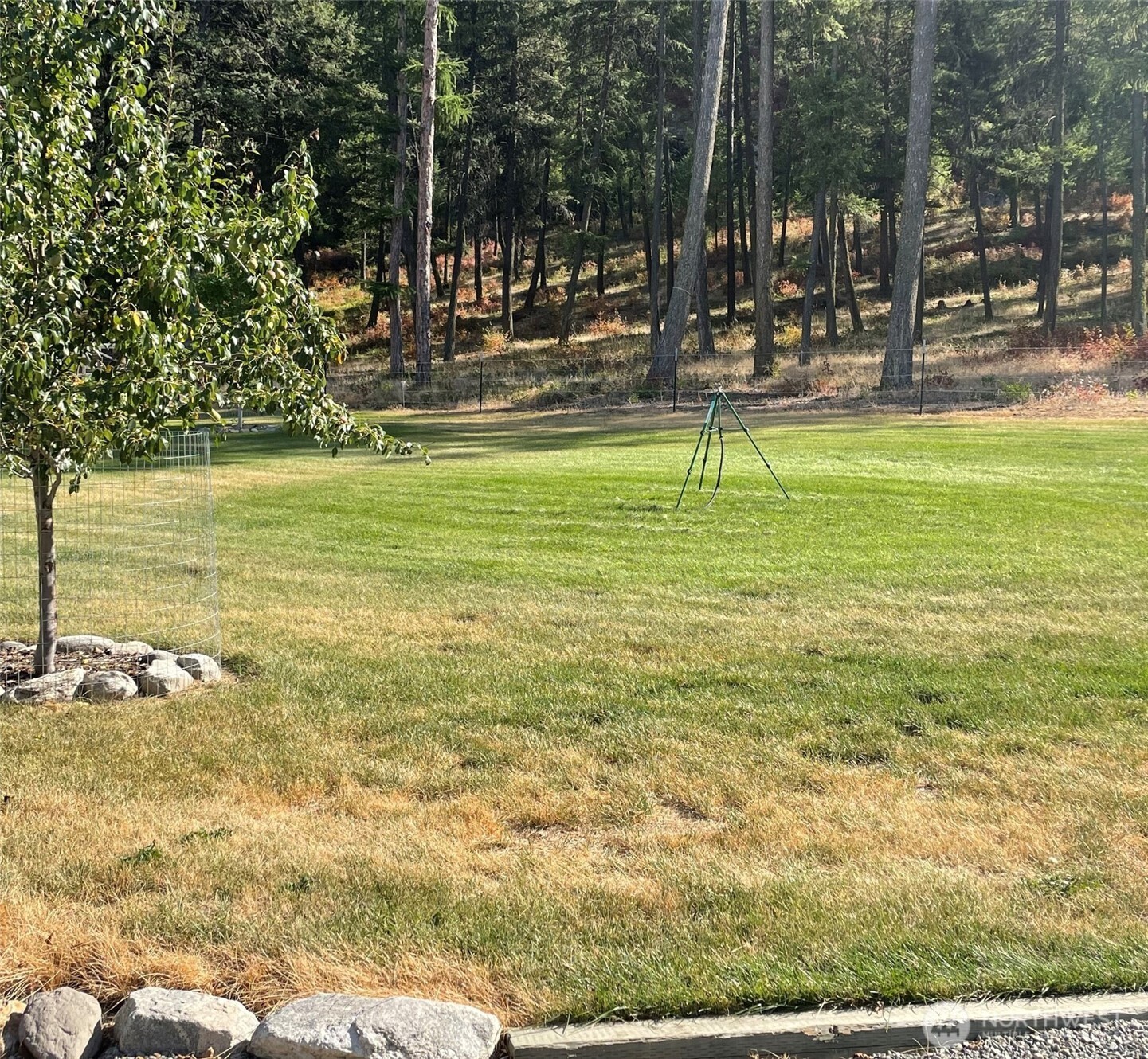 23 Tonata Creek Road Curlew, WA 99118 - Photo 26 of 38 a view of a park with large trees