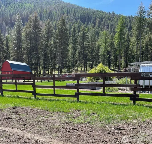 a view of a park with large trees