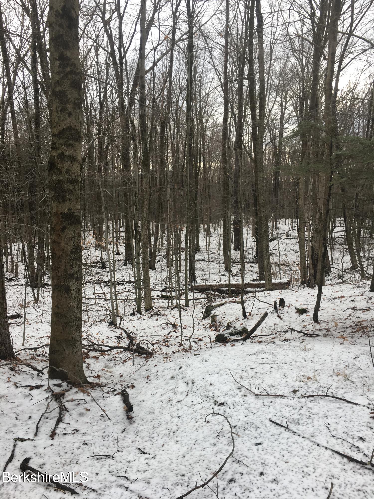 Lot 15 Captain Whitney Road Becket, MA 01223 - Photo 3 of 6 a view of a backyard with large trees