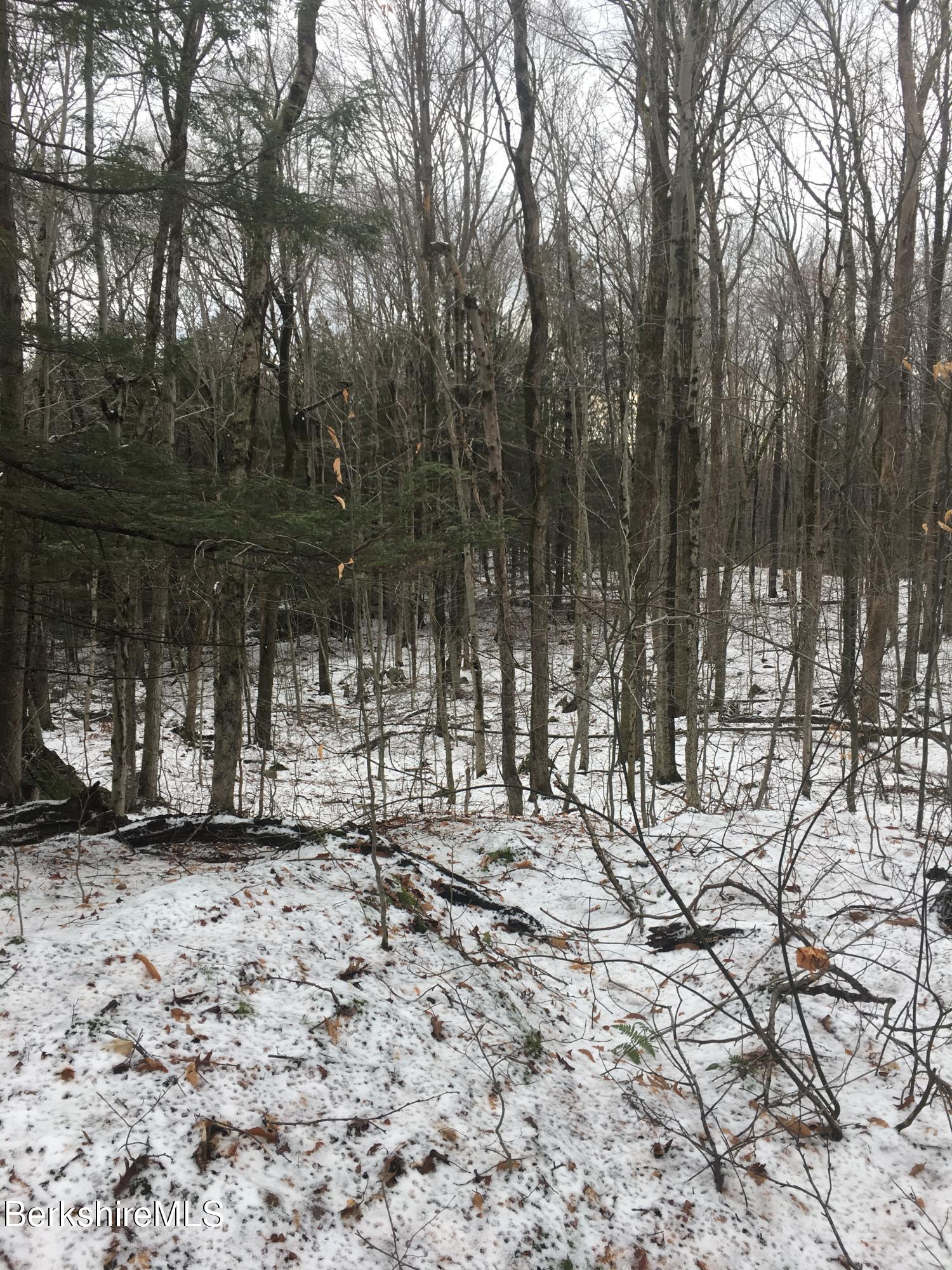 Lot 15 Captain Whitney Road Becket, MA 01223 - Photo 5 of 6 a view of a yard with a tree