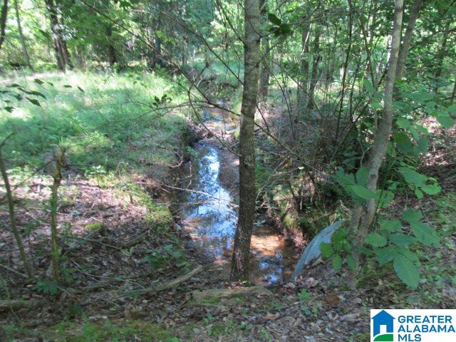0 Choctaw Trail, Unit 10 Hayden, AL 35079 - Photo 17 of 24