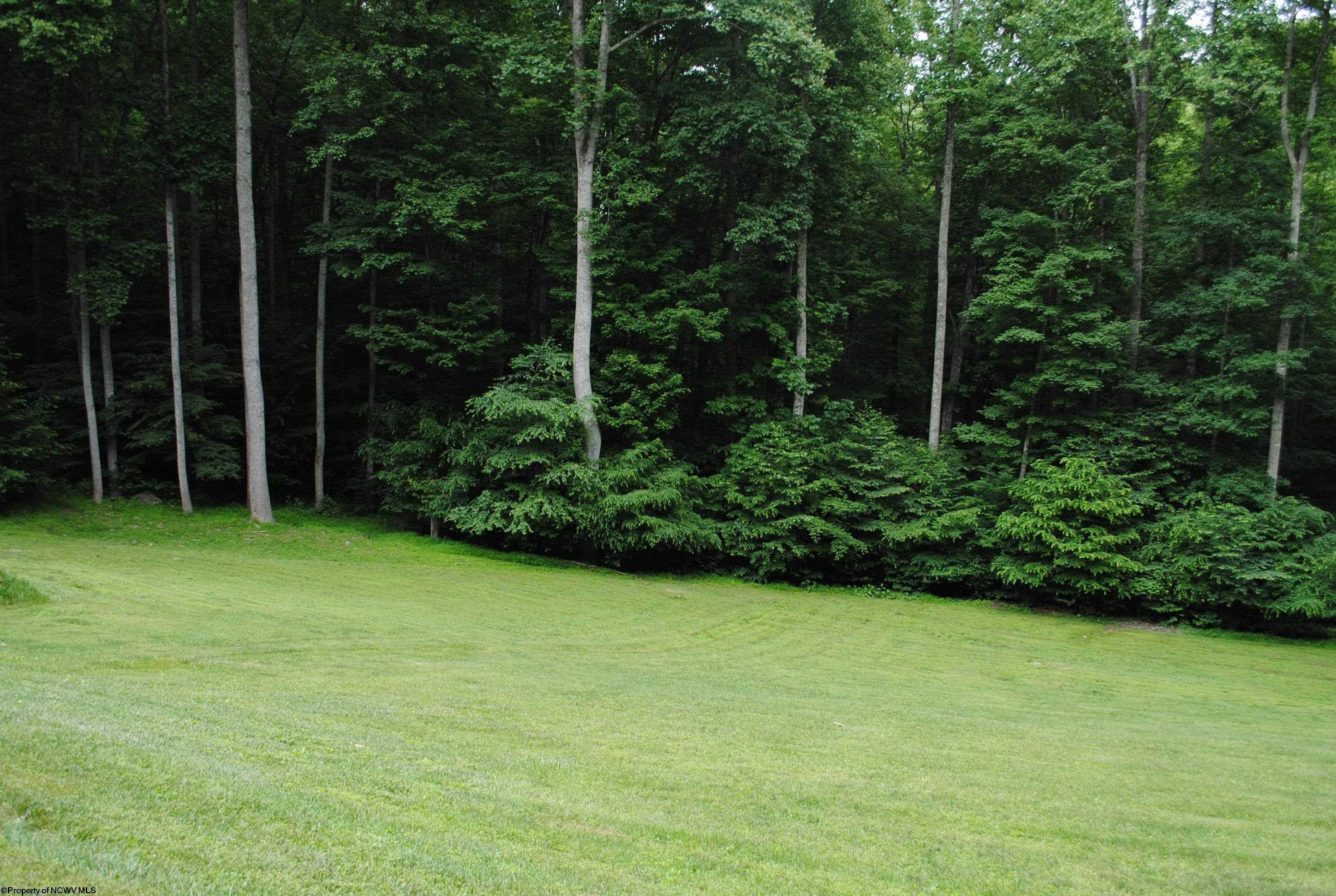 344 Danner Road Belington, WV 26250 - Photo 28 of 28 Gallery Image 28