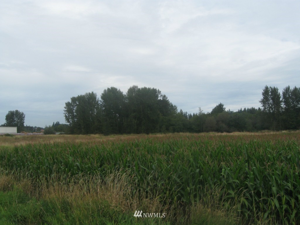 3888 Halverstick Road Sumas, WA 98295 - Photo 3 of 8