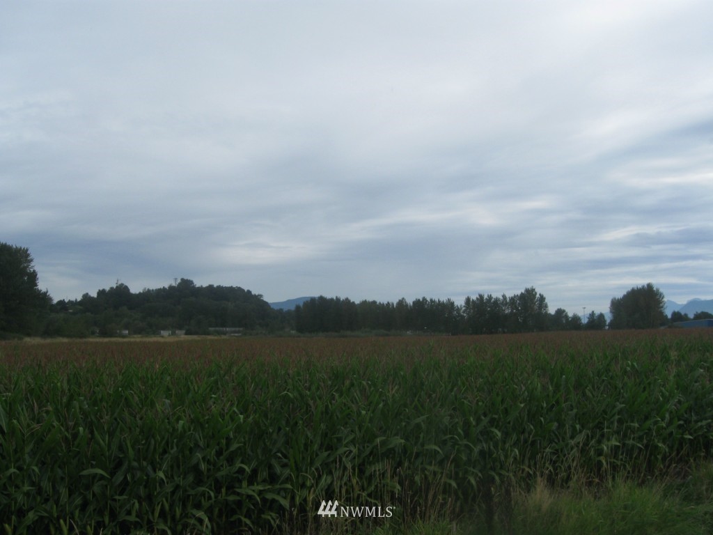 3888 Halverstick Road Sumas, WA 98295 - Photo 8 of 8