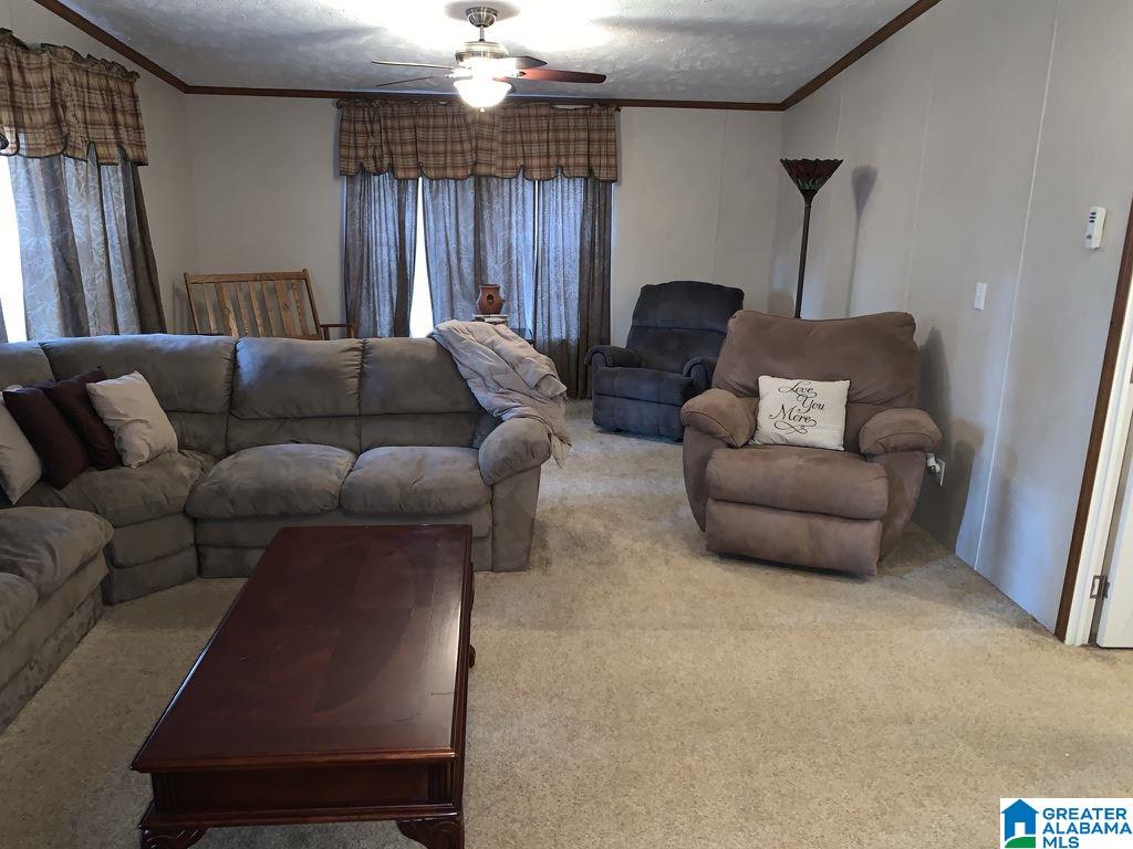 5055 Reeder Road Dora, AL 35062 - Photo 19 of 33