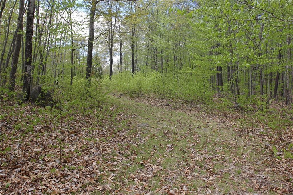 0 Tuelltown Road West Paris, ME 04289 - Photo 3 of 11 Photo
