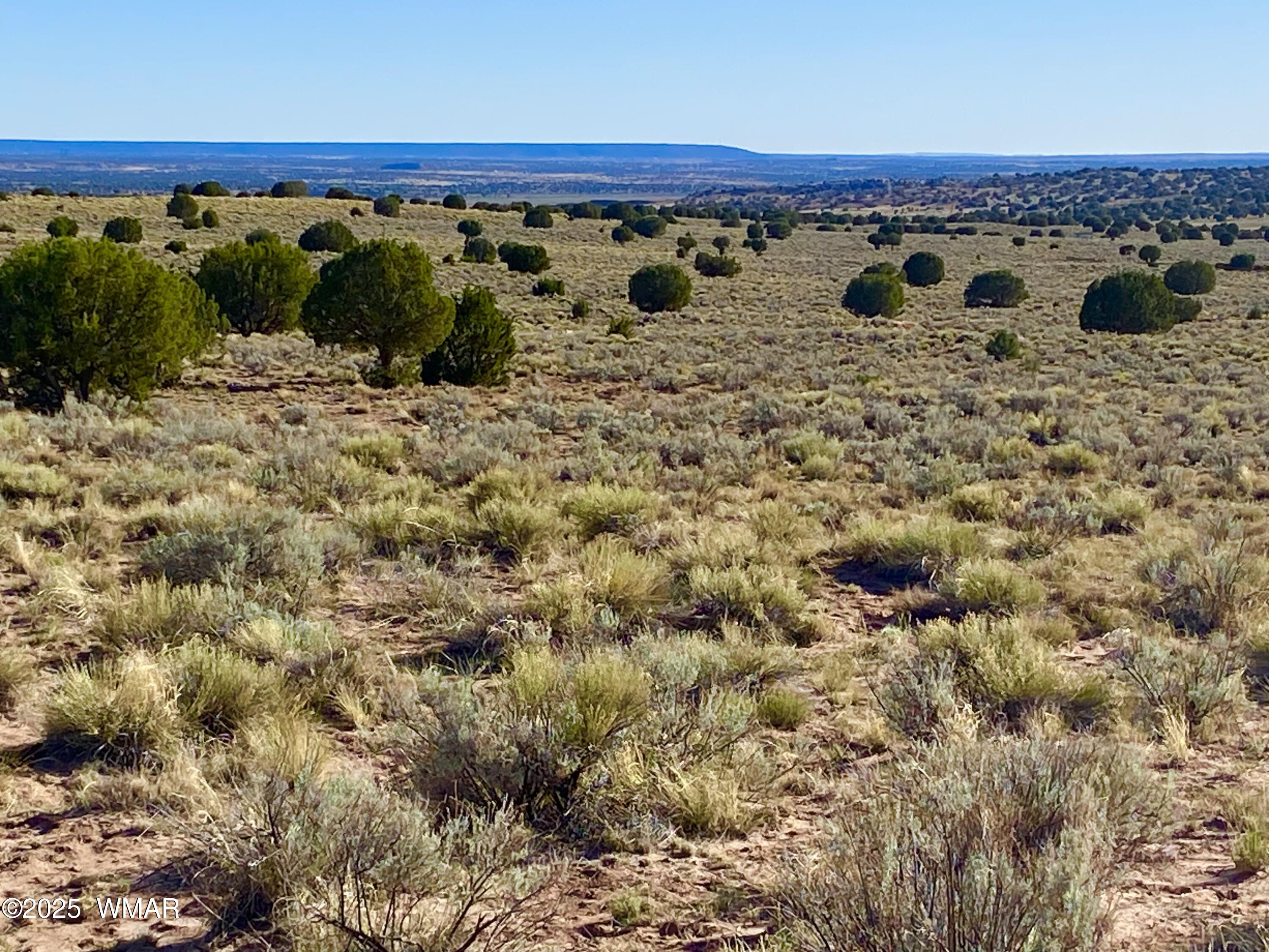 River River Meadows Ranch Concho, AZ 85924 - Photo 15 of 22