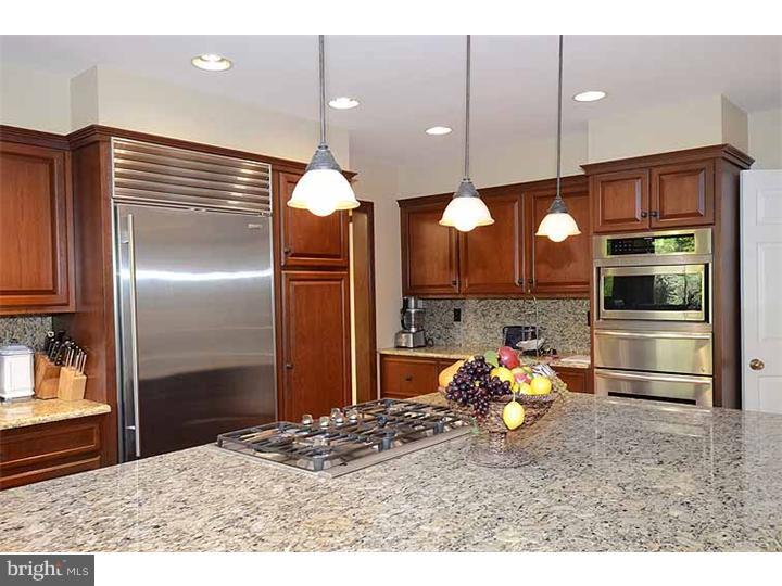 268 Ravenscliff Road Wayne, PA 19087 - Photo 11 of 25 Kitchen