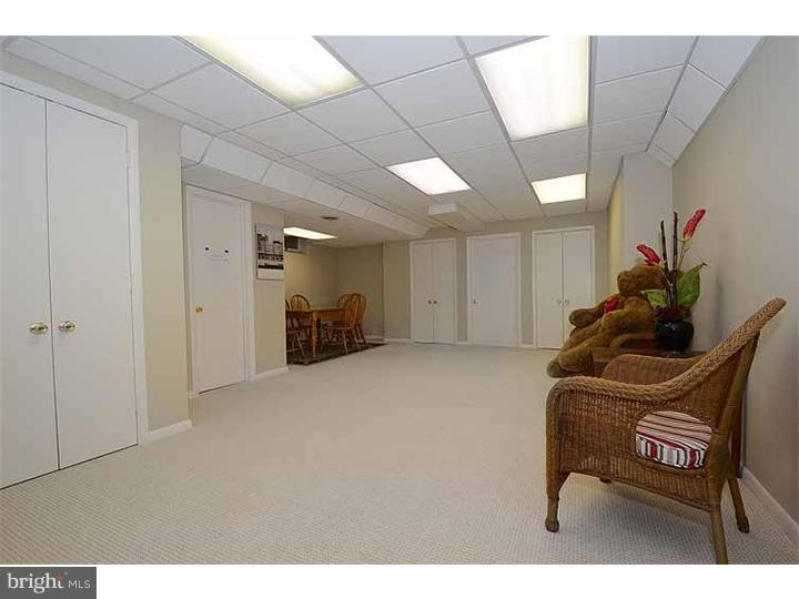 268 Ravenscliff Road Wayne, PA 19087 - Photo 22 of 25 Basement - Finished