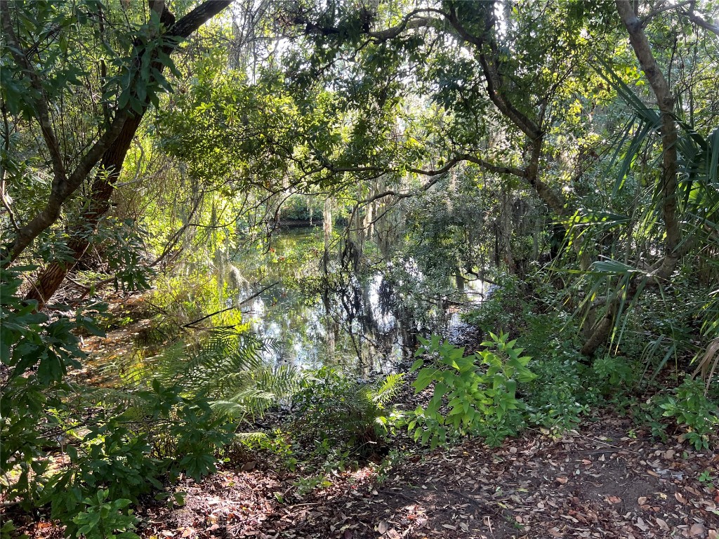 2017 Clinch Drive Fernandina Beach, FL 32034 - Photo 12 of 22 a view of a tree