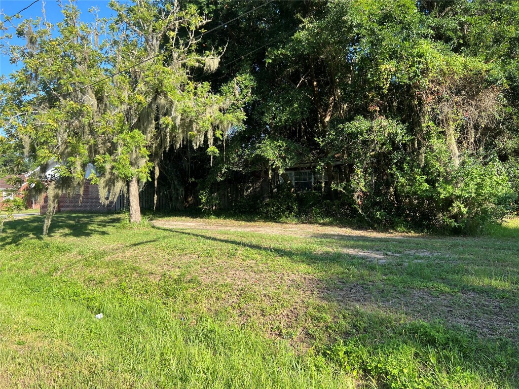 2017 Clinch Drive Fernandina Beach, FL 32034 - Photo 19 of 22 a view of outdoor space