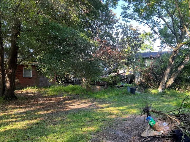 a view of a garden with a tree