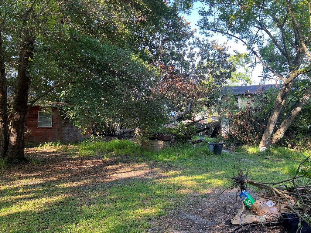 2017 Clinch Drive Fernandina Beach, FL 32034 - Photo 10 of 22 a view of a garden with a tree