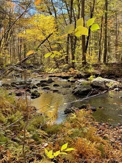 $699,000 | 48 Bar Gate Trail, Killingworth, CT 06419