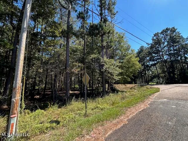 $74,200 | Country Lake Rd Summit, Summit, MS 39666