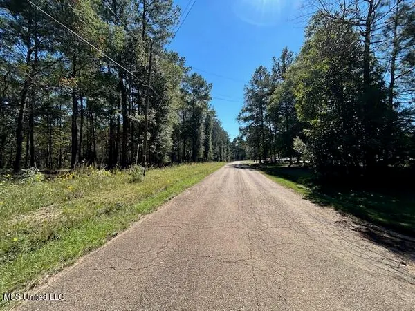$58,989 | Country Lake Rd Summit, Summit, MS 39666