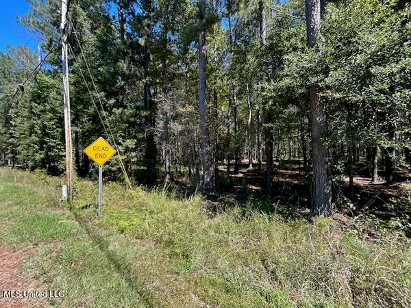 $58,989 | Country Lake Rd Summit, Summit, MS 39666