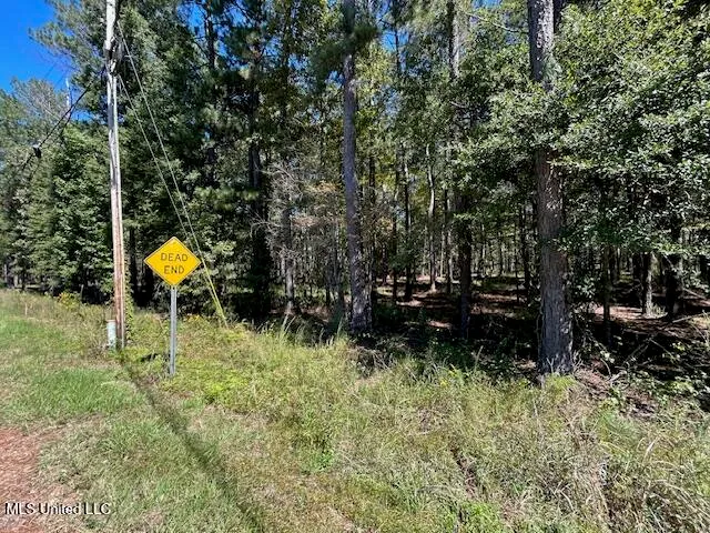 $74,200 | Country Lake Rd Summit, Summit, MS 39666