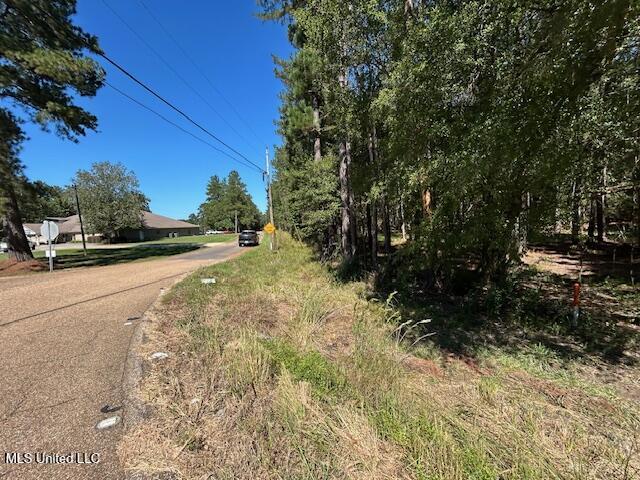 Country Lake Rd Summit Summit, MS 39666 - Photo 4 of 8 IMG_1624