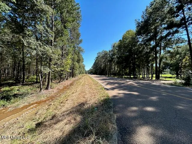 $74,200 | Country Lake Rd Summit, Summit, MS 39666